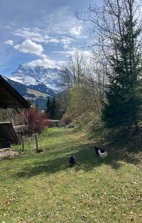 Chalet Ingas Troistorrents Exterior foto